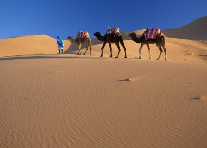 Tour De 6 Días Desde Casablanca A Merzouga