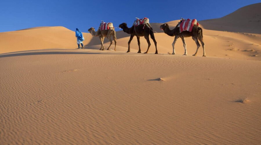 Tour De 6 Días Desde Casablanca A Merzouga