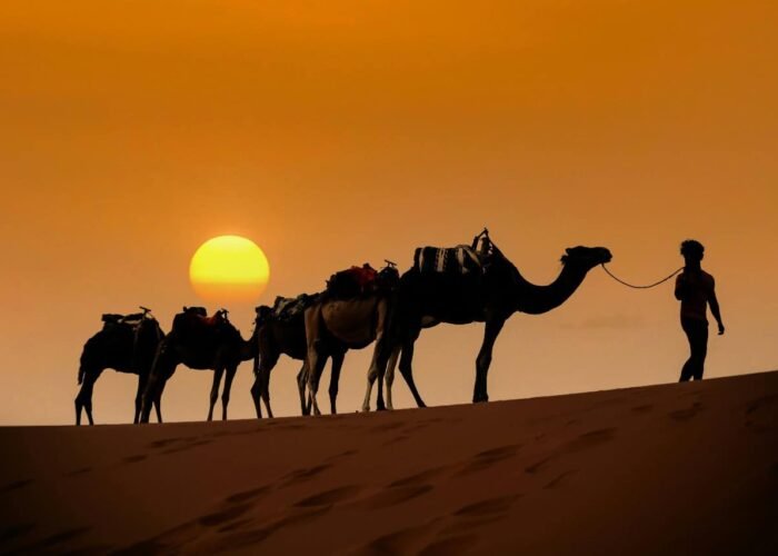 Tour Privado De 10 Días Desde Tánger A Casablanca