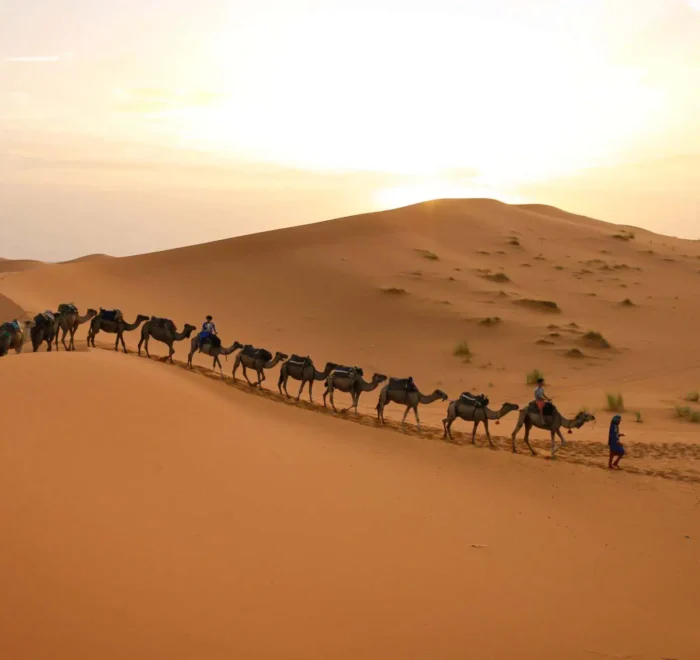 Tours Desde Marrakech